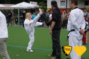 20170617_sww_taekwondo_239