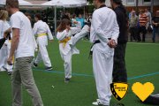 20170617_sww_taekwondo_268